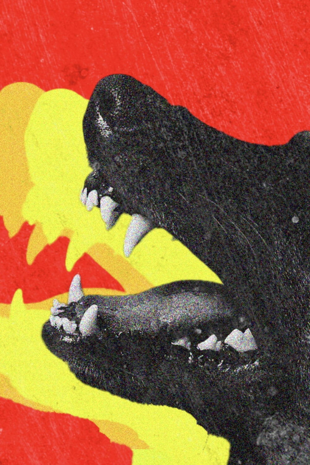 书页与光影之间:那些将诗歌与舞台剧改编成影像的小众佳片