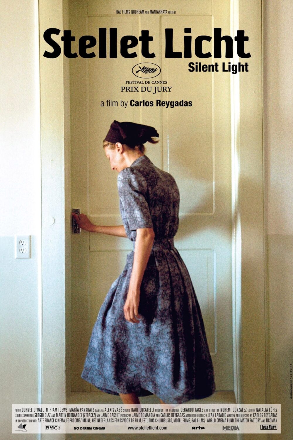 荒原之心：孤独症候群下的小众电影私选