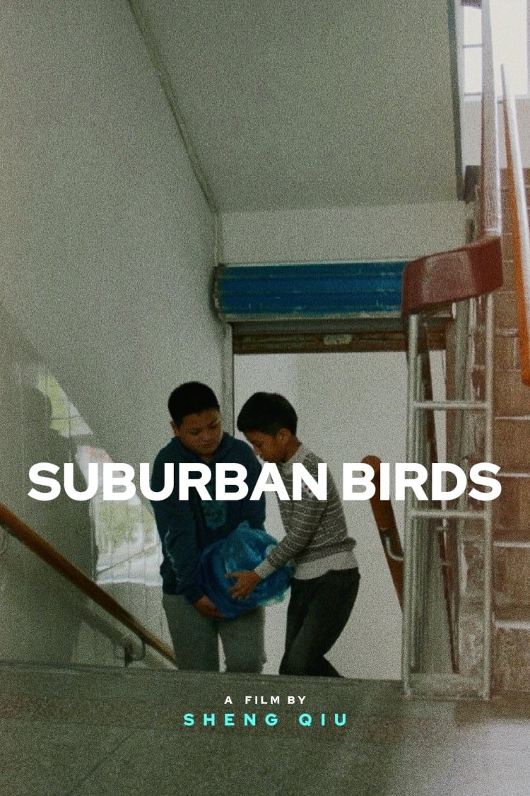 光落之处：黑马电影私房单