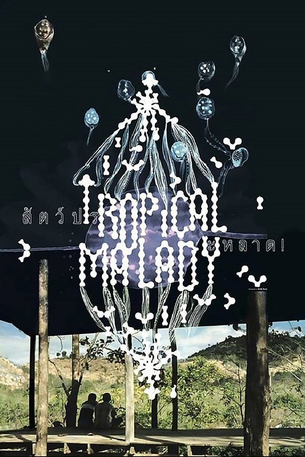 凝视废墟之后:阿彼察邦的热带幽灵与记忆迷宫